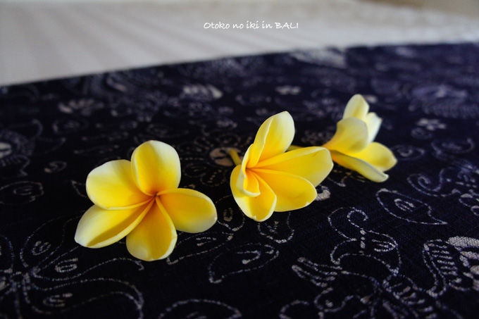 0327-6ViceroyBali
