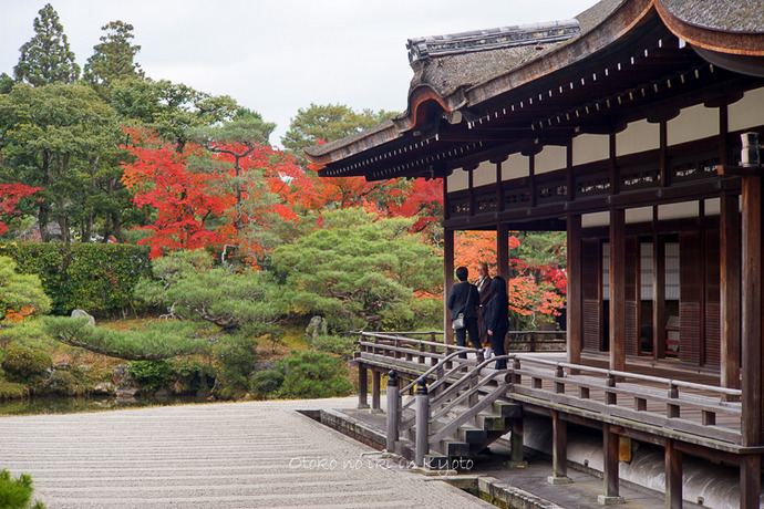 1120仁和寺11月-18