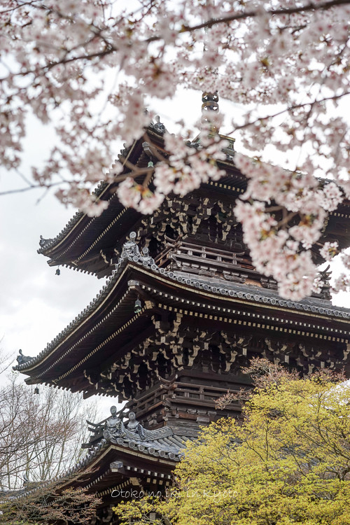 0407京都4月-92