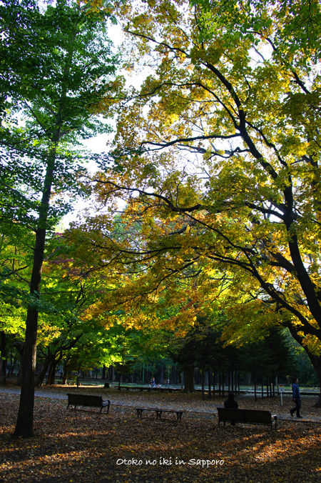 1028-18Sapporo