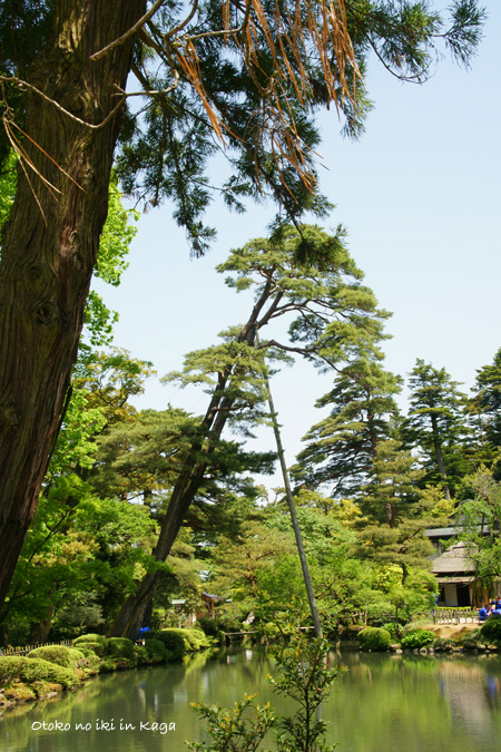 0825-17兼六園