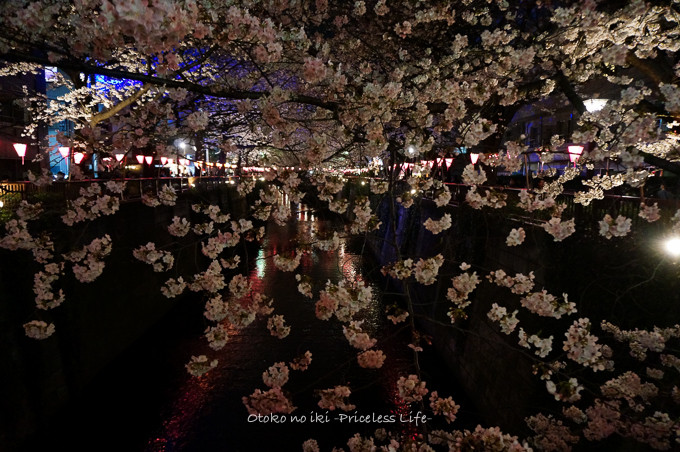 0401HANAMI3月-41