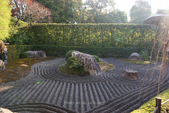 1116退蔵院11月-10