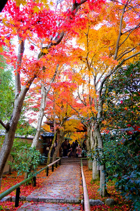 1129京都-8