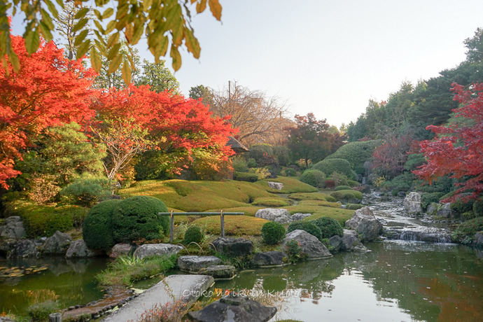 1116退蔵院11月-12