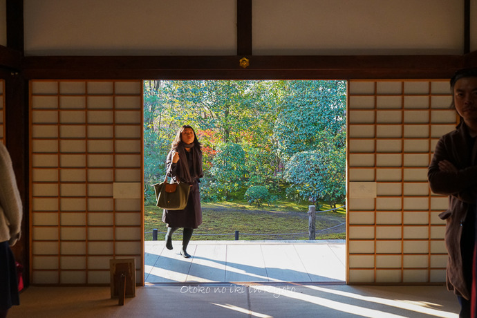 1116退蔵院11月-5