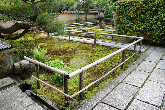 0610大徳寺5月-3