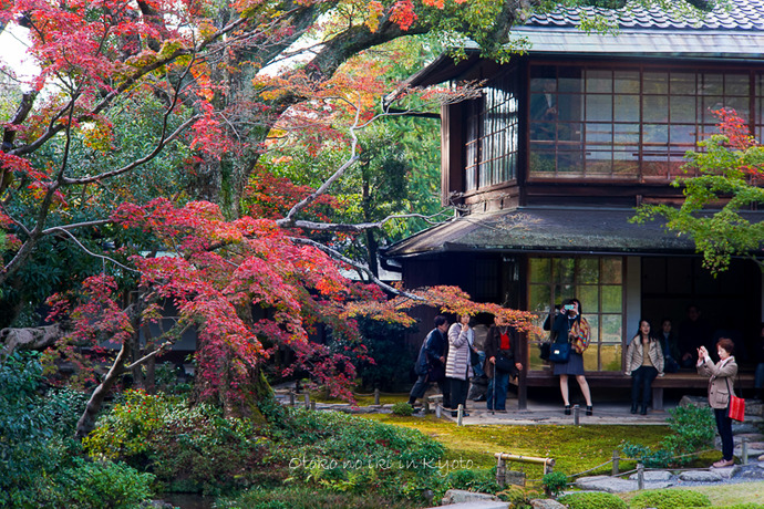1214Kyoto11月-3