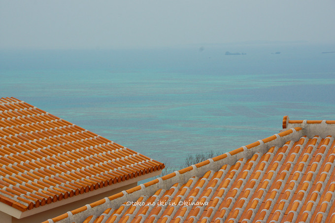 0614海中道路4月-15