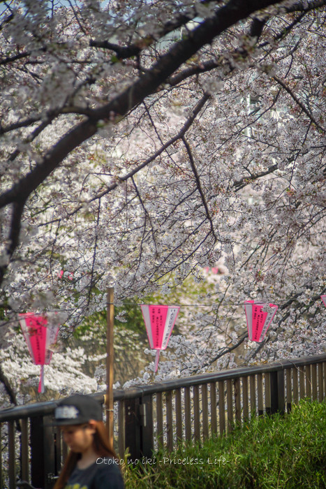 花見2019-21