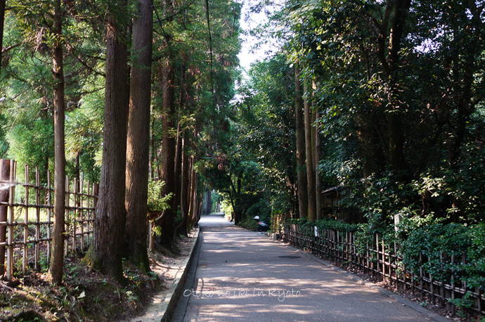 0825祇王寺8月-1