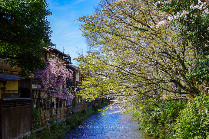 0407京都4月-11