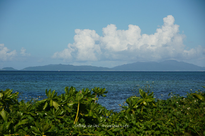 0513iriomote9月-25