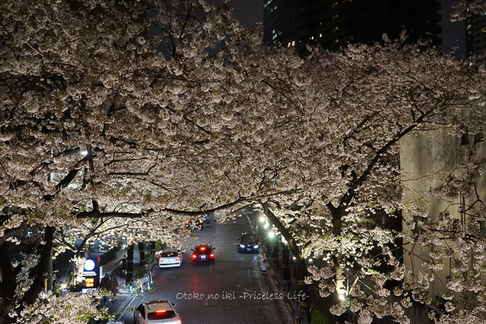 0511KABCO4月-29
