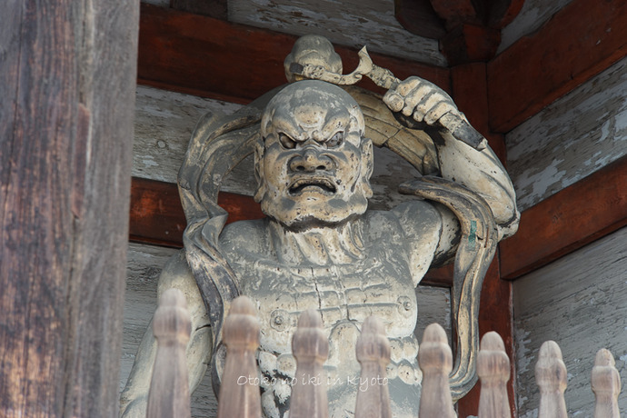 1120仁和寺11月-1