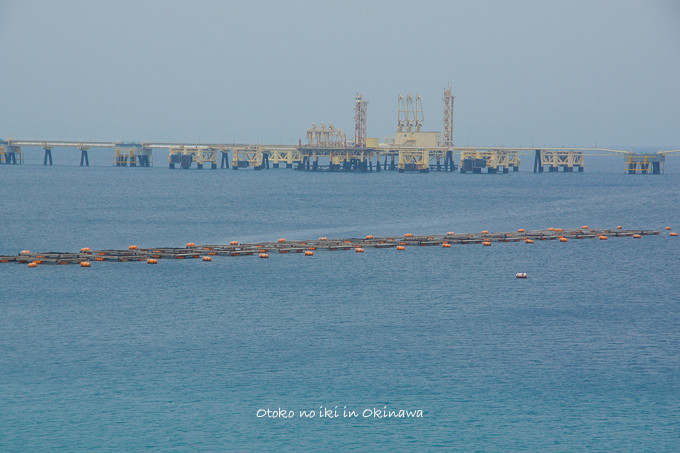 0614海中道路4月-20