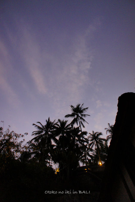 0817ViceroyBali-15