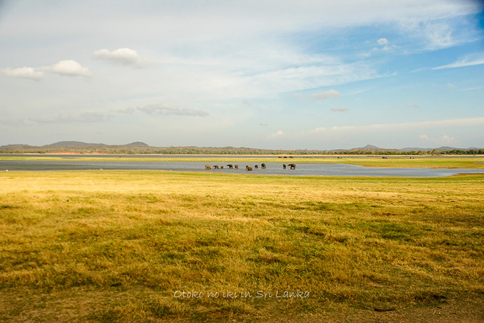 0410Safari9月-47