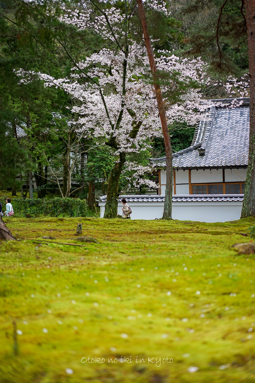 0407京都4月-55