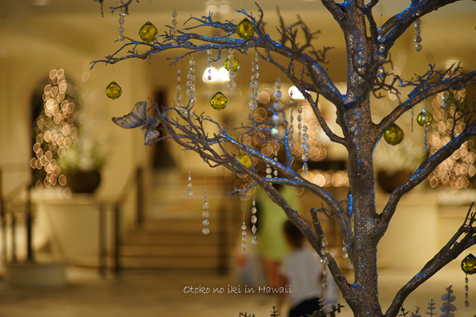 0218Moana412月-24