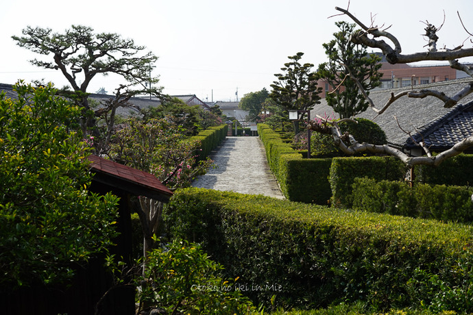 0620松阪3月-5