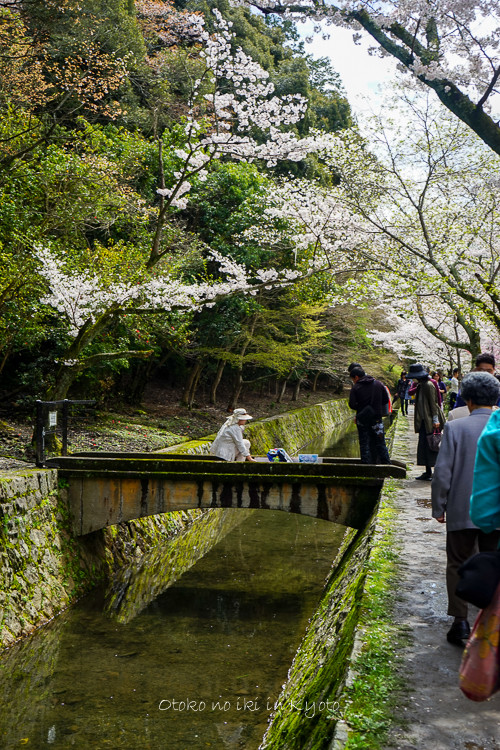 0407京都4月-66
