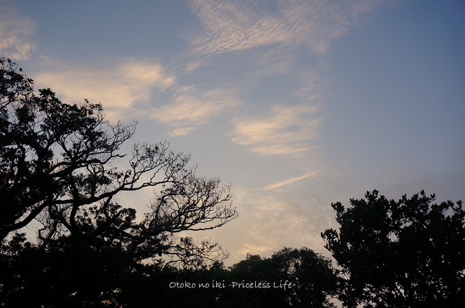 0730sababu7月-40