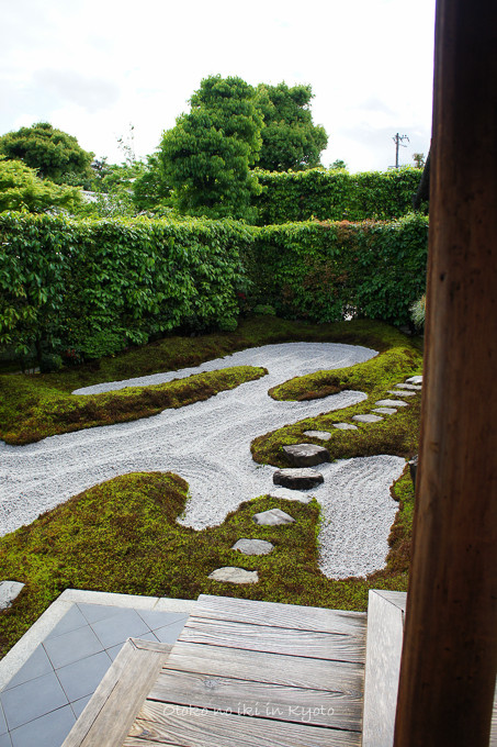 0610大徳寺5月-6