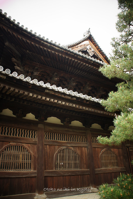 0610大徳寺5月-29