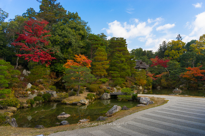 1120仁和寺11月-25