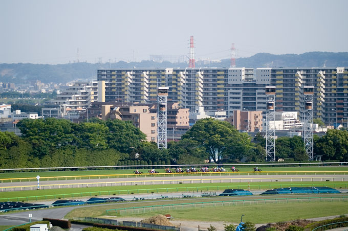 レース