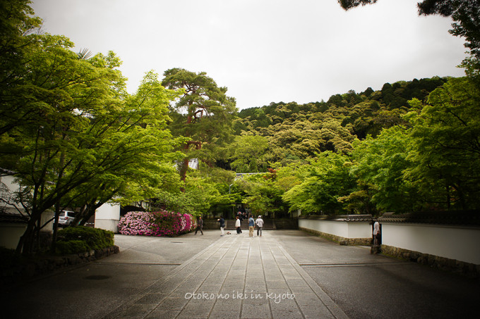 201205京都朝マラソン5月-16
