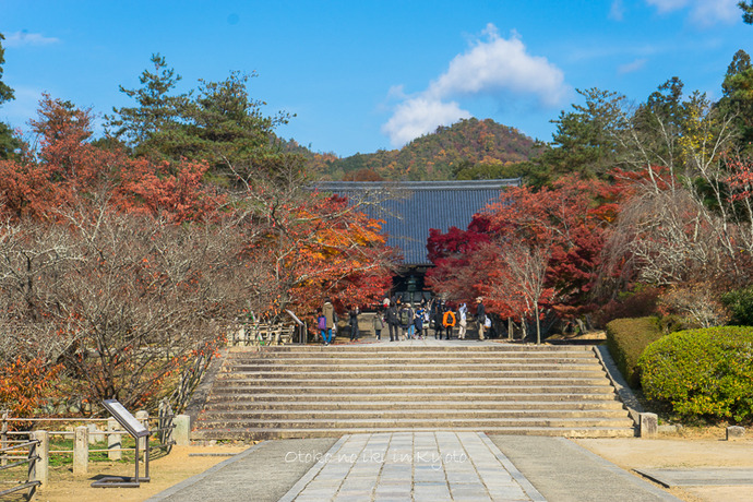 1120仁和寺11月-27