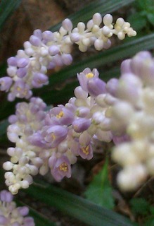 14d541f3.jpg