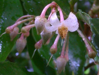1b6e6f70.jpg