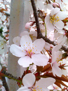IMAG5415