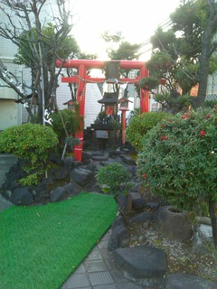 IMAG4886