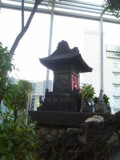 IMAG4892