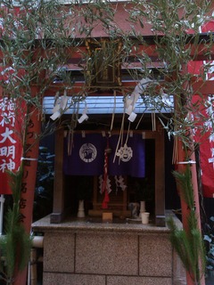 IMAG4881