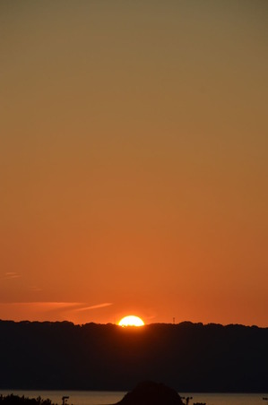 DSC_0392