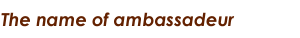 アンバサダーの名前の読み方★彡