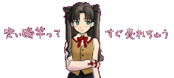 NFT 古い磯竿 NF 石鯛