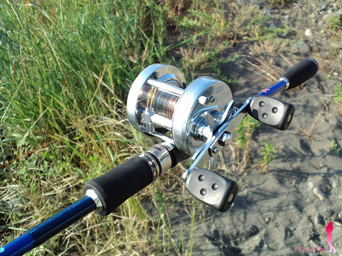 Abu ambassadeur レコード RCN51
