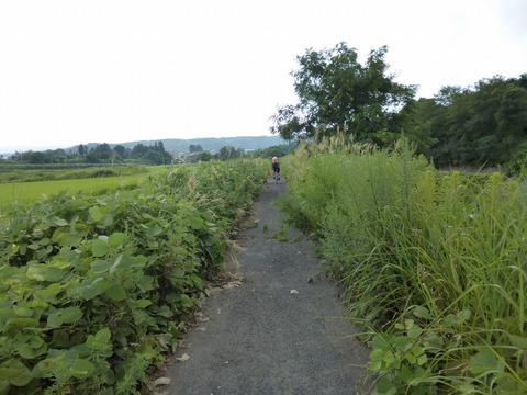 P1020949