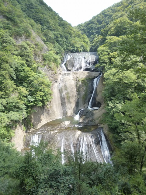 P1020967