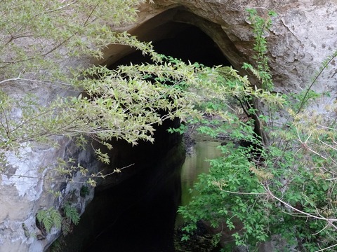 DSC04446