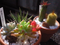 03a71580.jpg