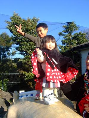 kapibara