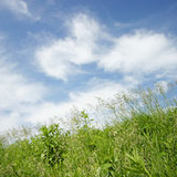 b57ee079.jpg