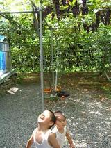 6b4e1260.jpg